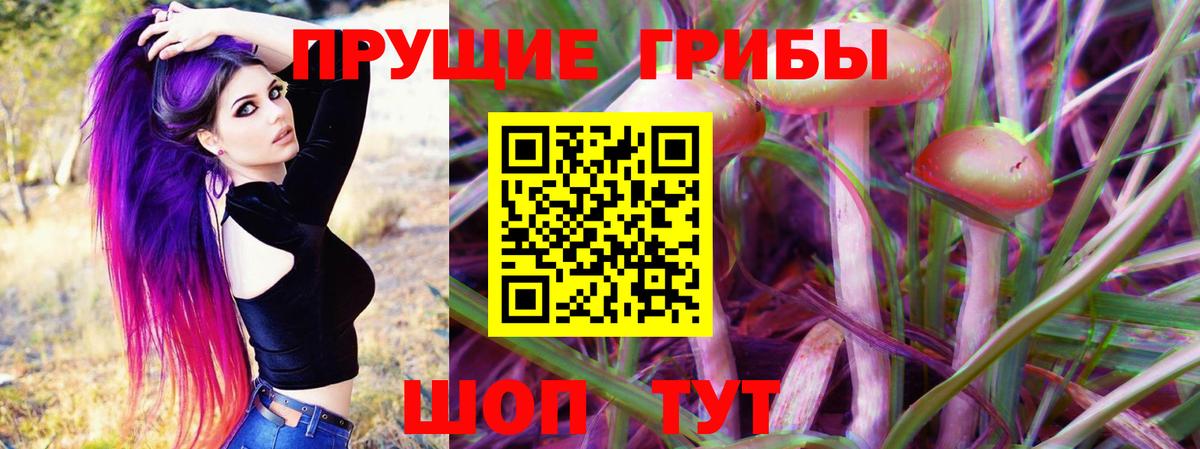 Псилоцибиновые грибы Psilocybine cubensis Тутаев