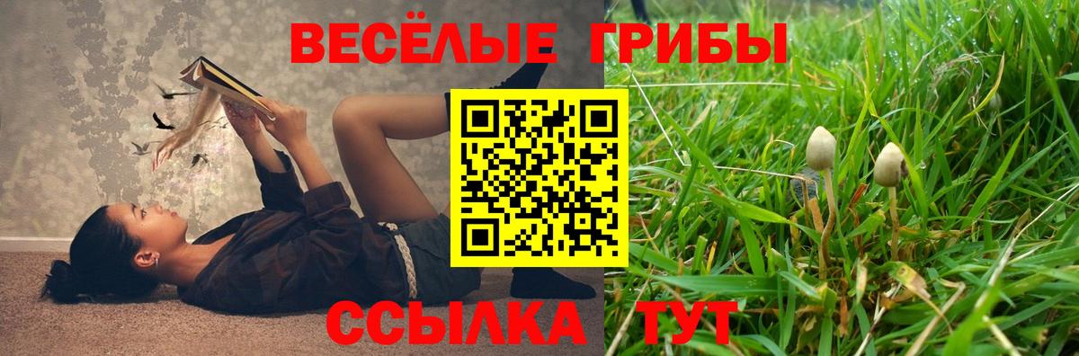купить наркотик  Галлюциногенные грибы мицелий  Вход с VPN  Тутаев  Галлюциногенные грибы GOLDEN TEACHER 